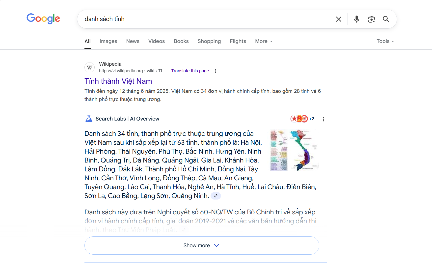 google_ai_overview_in_vietnam.png