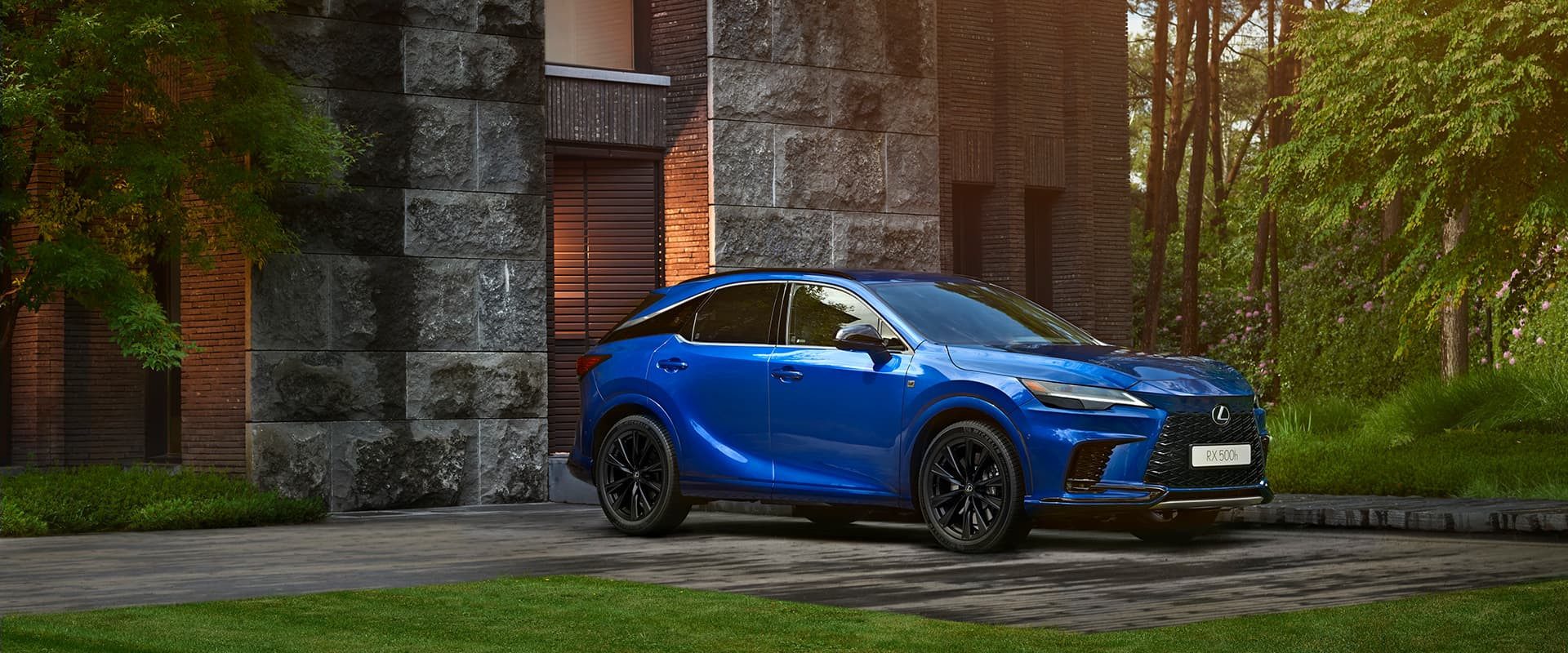 Ảnh Lexus RX
