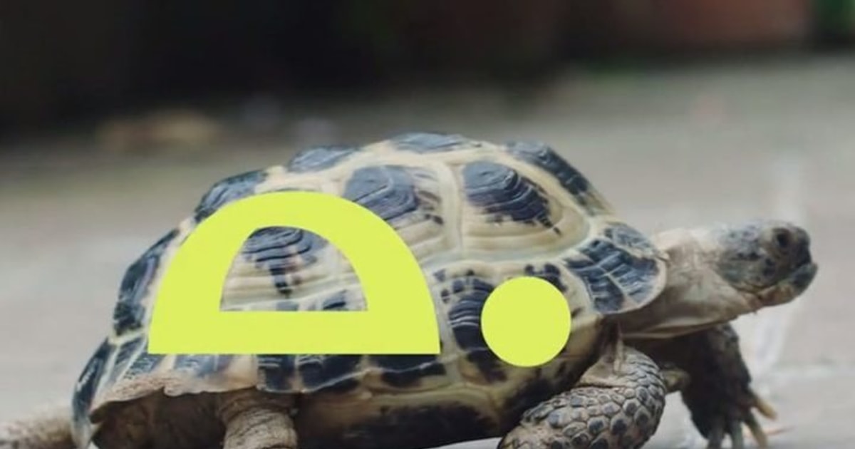 Báo chí thời 4.0 vẫn cần những sản phẩm "báo chí rùa"