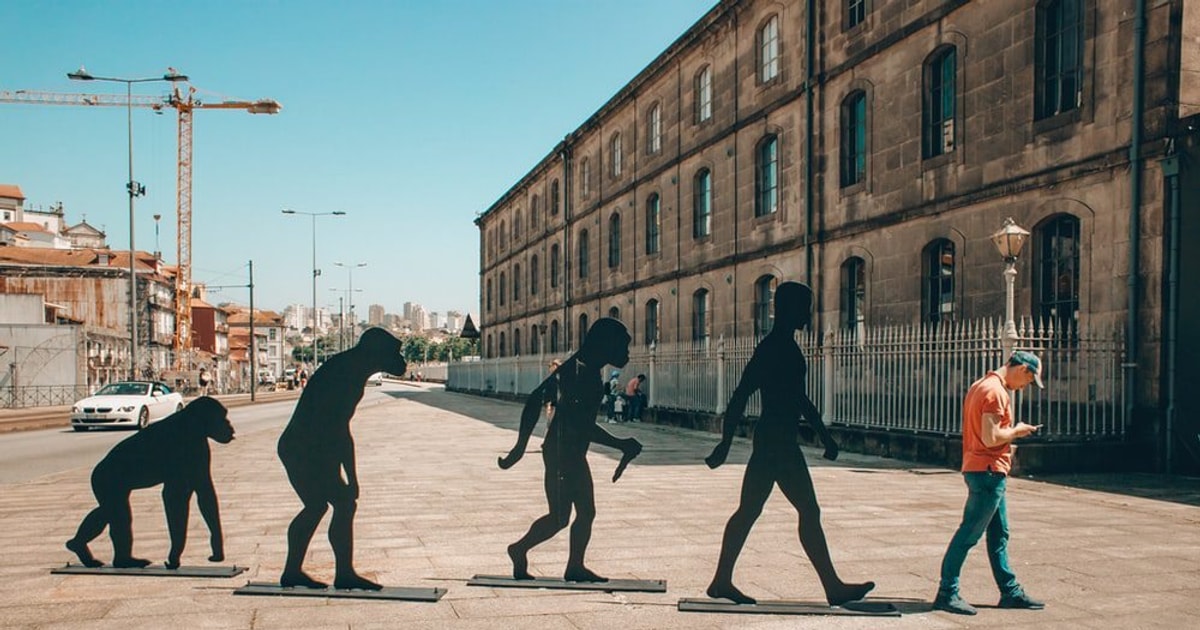 Sự phát triển của các tòa soạn tin tức địa phương 