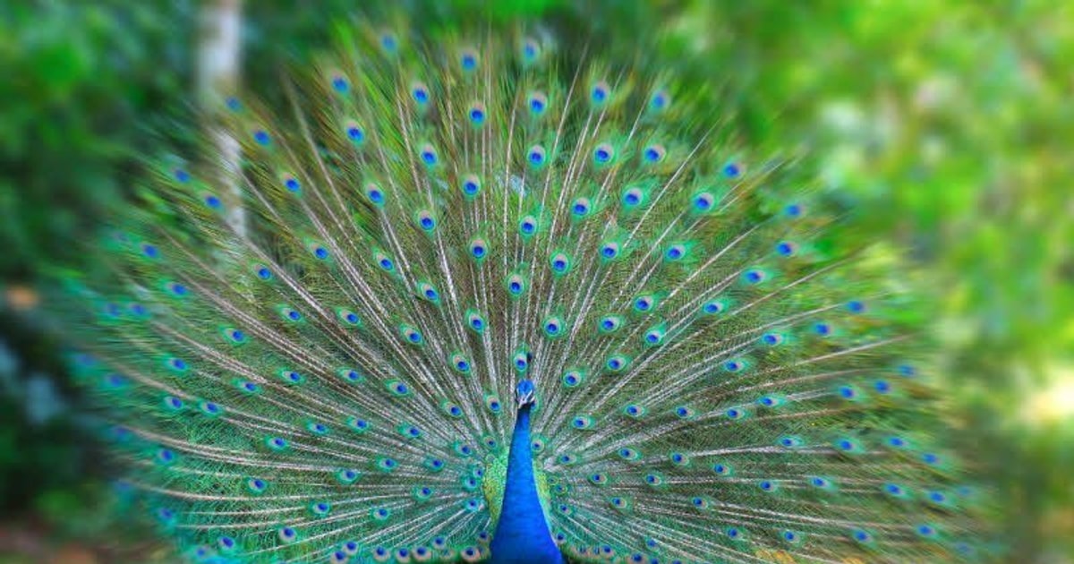 5 mẹo tạo nội dung dài hơi 