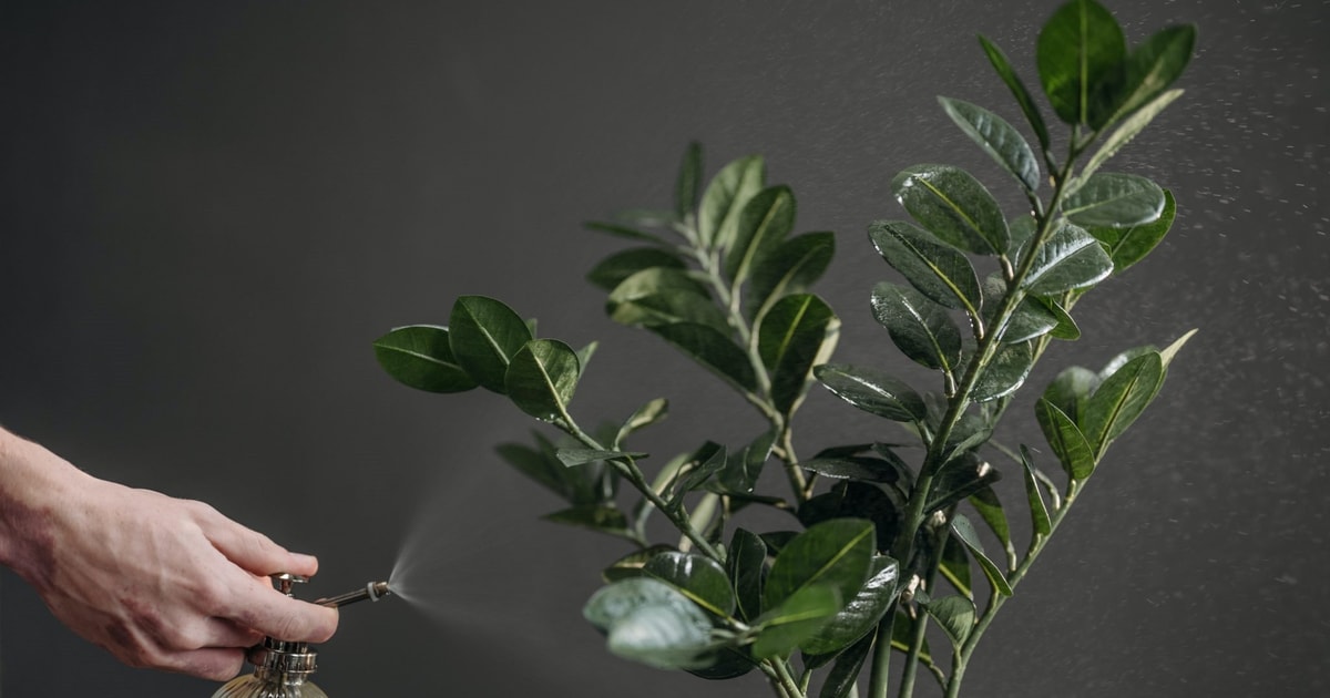 4 cách thúc đẩy tăng trưởng lượng bạn đọc của Rolling Stone